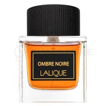 Lalique Ombre Noire parfémovaná voda pre mužov 100 ml - 30 dní na vrátenie tovaru, Garancia originality