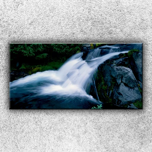 Foto na plátno Pereje 100x50 cm