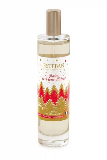 Esteban légfrissítő Berries And Winter Flower 75 ml