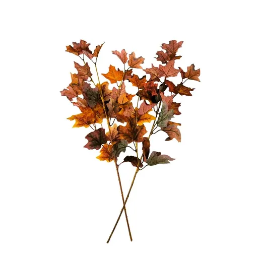 Súprava vetiev Javor 72 cm, 2 ks