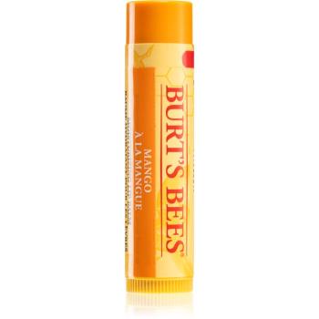 Burt’s Bees Lip Care vyživujúci balzam na pery (with Mango Butter) 4,25 g