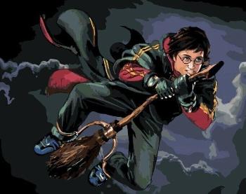 Zuty Maľovanie podľa čísel Harry Potter Na metle