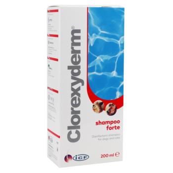 CLOREXYDERM Forte šampón 200 ml