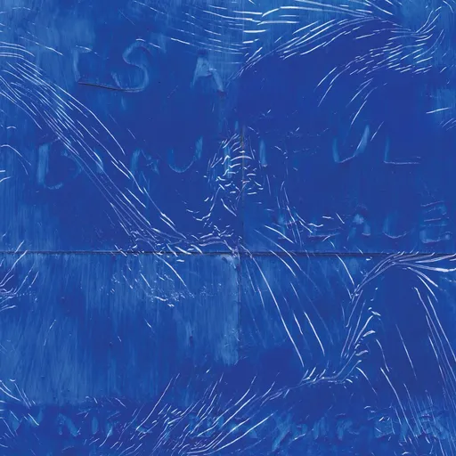 Water From Your Eyes, IT'S A BEAUTIFUL PLACE, CD