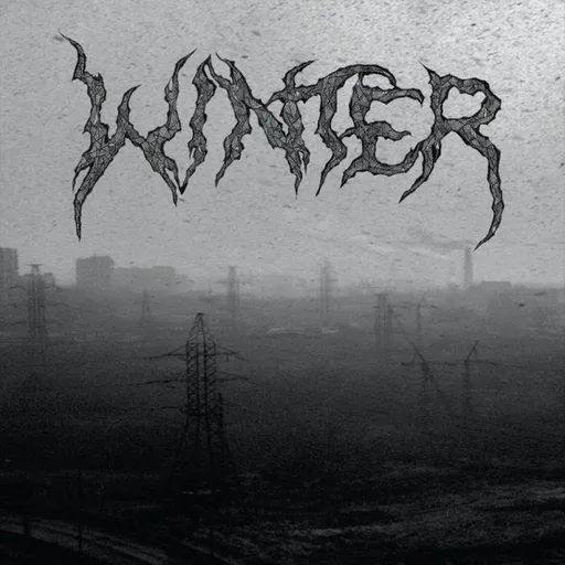 WINTER - LIVE IN BROOKLYN CLEAR LTD. LP