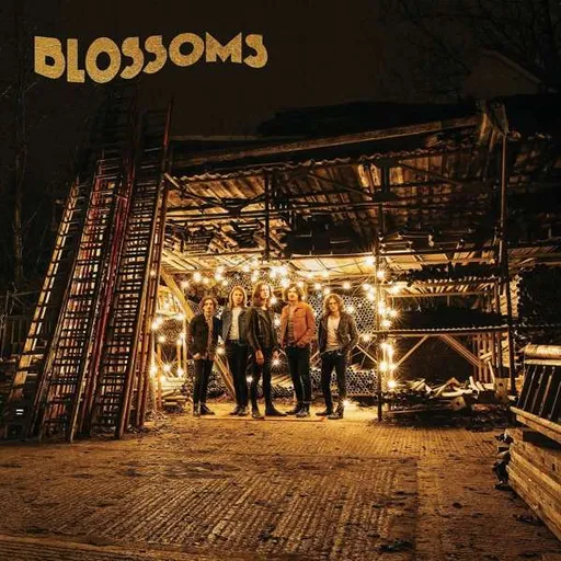 BLOSSOMS: BLOSSOMS LP