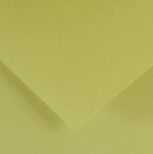 CANSON COLORLINE - Obojstranné farebné papiere 50 x 65 cm, 88 - lime green, 10 ks