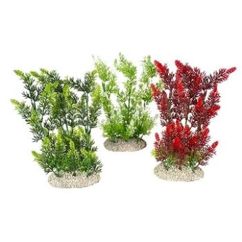 Ebi Aqua Della Elodea Densa zelená alebo červená 25 cm 1 ks (4047059458488)