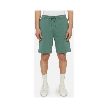 Dickies  Mapleton short  Šortky/Bermudy Zelená