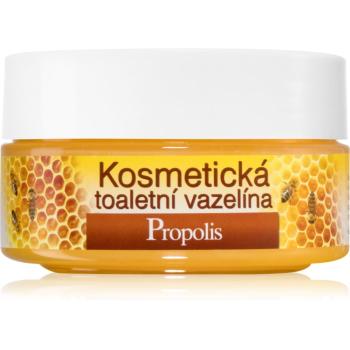 Bione Cosmetics Honey + Q10 kozmetická vazelína 155 ml