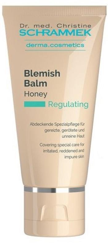 DR. MED. CHRISTINE SCHRAMMEK Regulating Blemish Balm Honey 40 ml