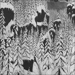 Paysage d'Hiver, SCHATTENGANG, CD