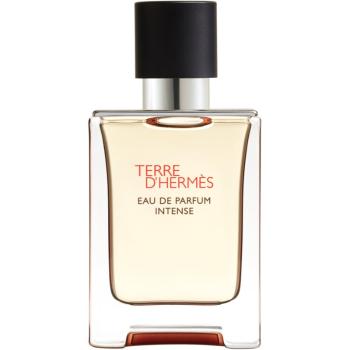 HERMÈS Terre d’Hermès parfumovaná voda intense pre mužov 50 ml