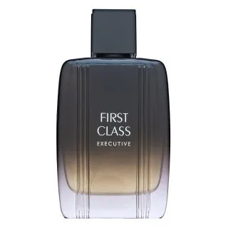 Aigner First Class Executive toaletná voda pre mužov 100 ml