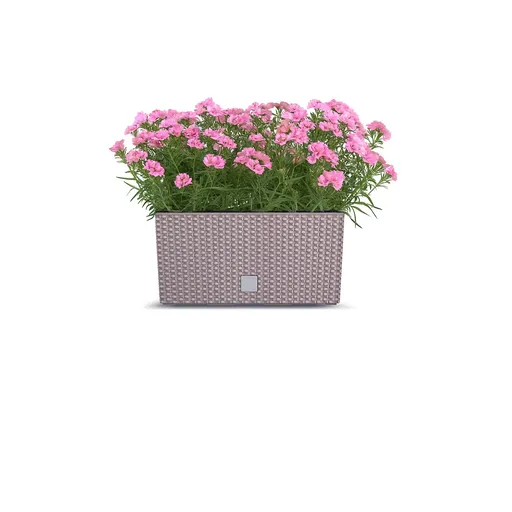 ProsperPlast Kvetináč RATO CASE s vkladom | mocca 39,5 cm