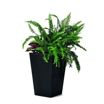 KETER RATTAN PLANTER S (228978)