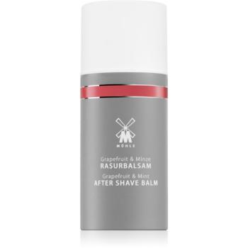 Mühle Aftershave Balm balzam po holení pre mužov 100 ml