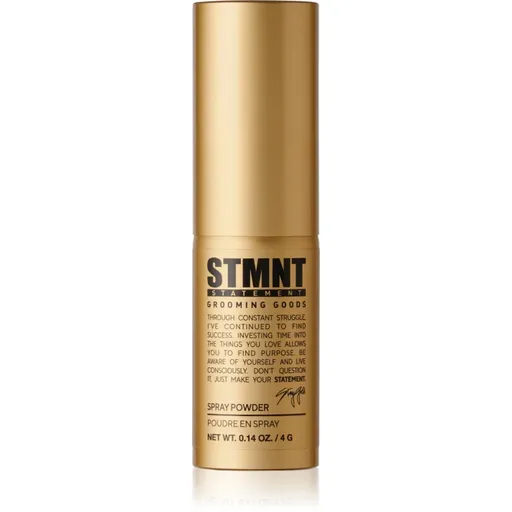 STMNT Staygold Spray Powder púdrový sprej pre definíciu a tvar 4 g