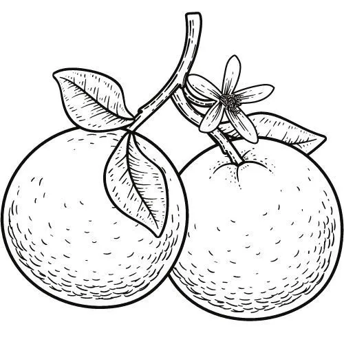 Pomarančový olej 100% BIO Alteya Organics 5 ml