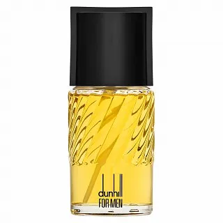 Dunhill Dunhill for Men toaletná voda pre mužov 100 ml