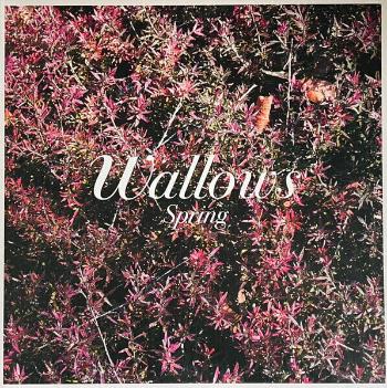 Wallows - Spring (Green & Pink Coloured) (12" Vinyl)