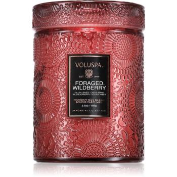 VOLUSPA Japonica Foraged Wildberry vonná sviečka 156 g