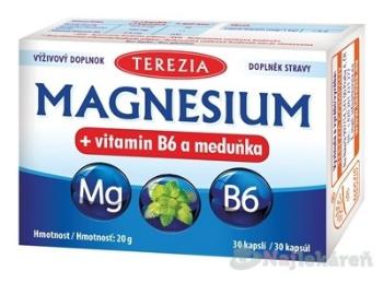 TEREZIA MAGNESIUM + vitamin B6 a meduňka (medovka) 30 ks