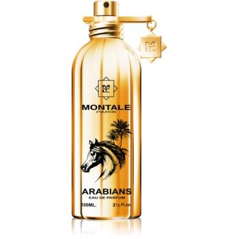 Montale Arabians parfumovaná voda unisex 100 ml