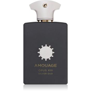 Amouage Opus XIII: Silver Oud parfumovaná voda unisex 100 ml