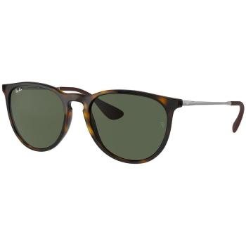 Ray-ban  ERIKA 0RB4171 710/71  Slnečné okuliare Hnedá