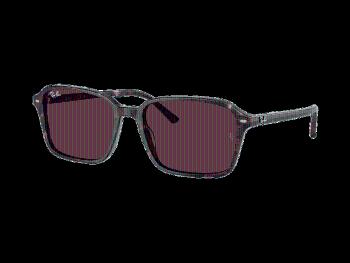 Ray-Ban Raimond RB2231 1416C5