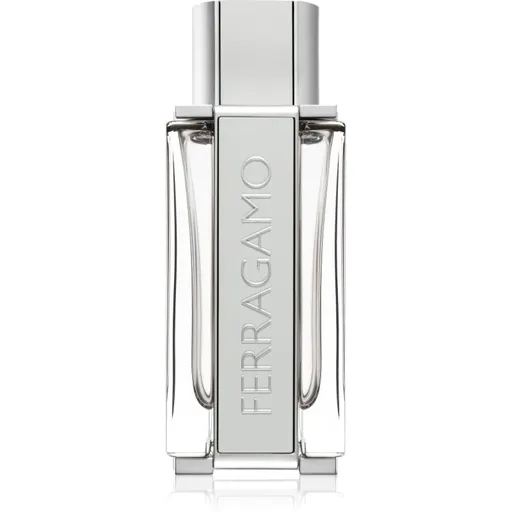 Ferragamo Ferragamo Bright Leather toaletná voda pre mužov 100 ml