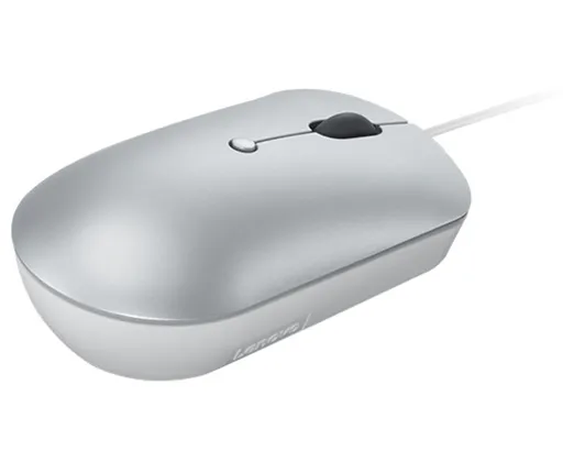 Lenovo myš CONS 540 USB-C káblová kompaktná - strieborná (Cloud Grey)