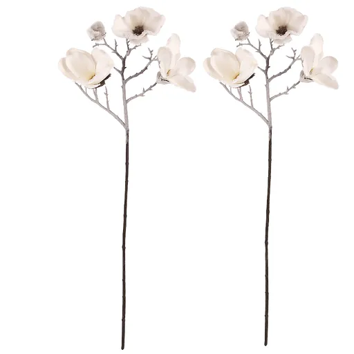 Set kvetov Magnólia, 2 ks, biela so zasnežením