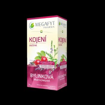 MEGAFYT Bylinková lekáreň Dojčenie 20 x 1.5 g