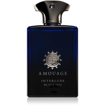 Amouage Interlude Black Iris parfumovaná voda pre mužov 100 ml