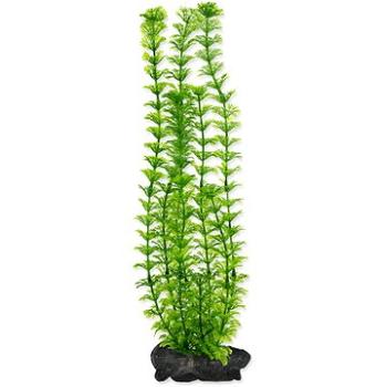 Tetra Rastlina Ambulia L 30 cm (4004218270473)