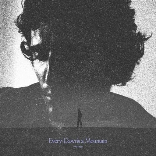 Tamino, Tamino: Every Dawn's A Mountain CD, CD