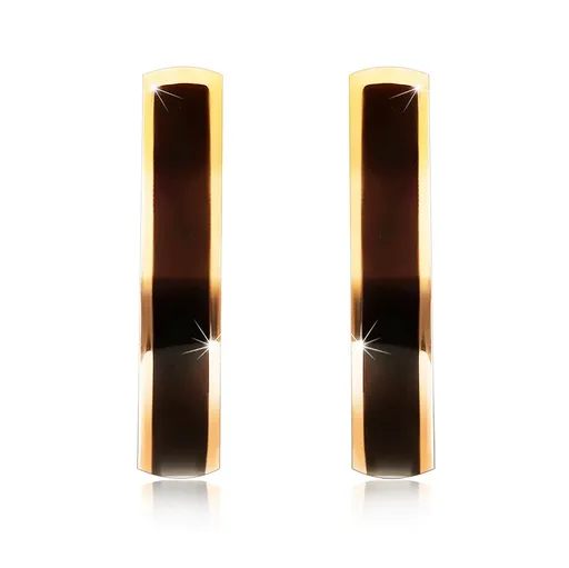 Zlaté náušnice 9K tvar oblúka s čiernou glazúrou