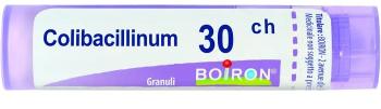 BOIRON Colibacillinum CH30 granule 4 g