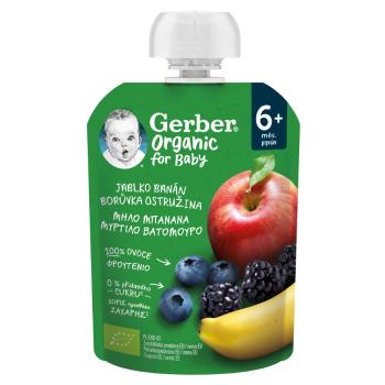 GERBER Kapsička jablko+banán+čučoriedka+černica BIO 90g 6m+