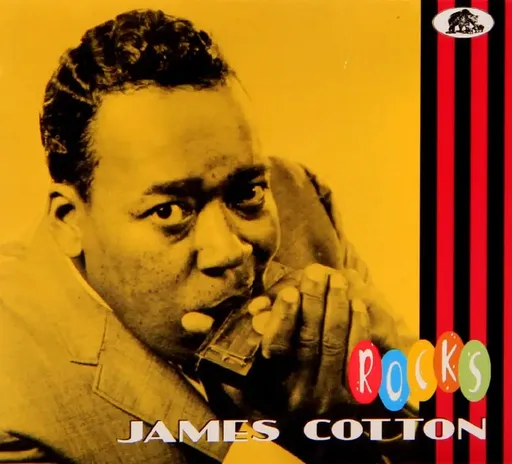 James Cotton, Rocks, CD