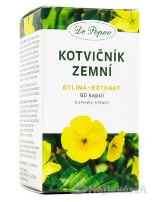 Dr. Popov Kotvičník zemní bylina + extrakt 60 kapsúl