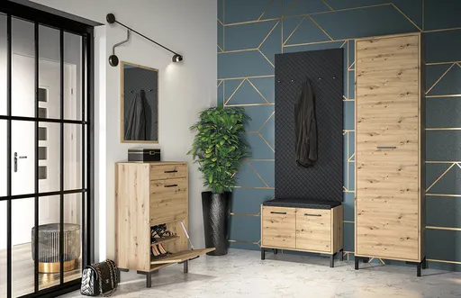 ArtMLM Predsieň EVION