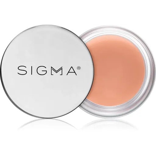 Sigma Beauty Hydro Melt Lip Mask hydratačná maska na pery s kyselinou hyalurónovou odtieň Hush 9.6 g