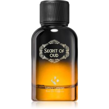 Luxury Concept Secret Of Oud parfumovaná voda unisex 100 ml