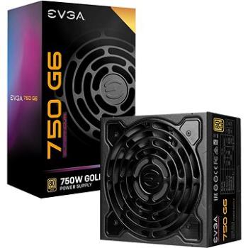 EVGA SuperNOVA 750 G6 (220-G6-0750-X2)