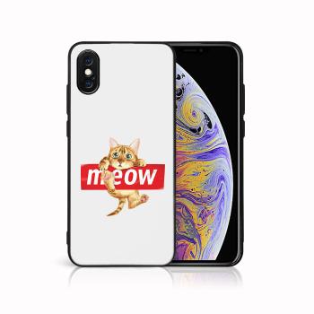 MY ART Ochranný kryt pre Apple iPhone X / XS MEOW (183)