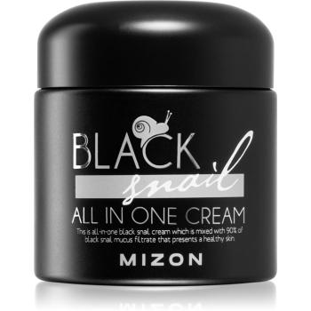 Mizon Black Snail All in One pleťový krém s filtrátom sekrétu zo slimáka 90% 75 ml