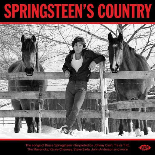 SPRINGSTEEN'S COUNTRY